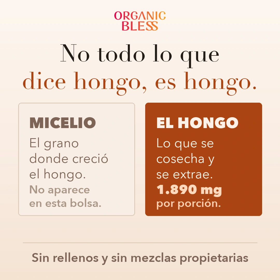 El micelio es el grano donde crecio el hongo y no aparece en esta bolsa. Organic Bless lleva 1.890 mg de cuerpo fructifero por porcion, sin rellenos ni mezclas propietarias