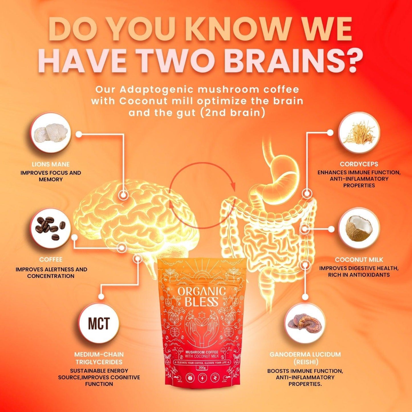 ORGANIC BLESS - CAFE DE HONGOS INSTANTANEO - Golden Group Enterprise